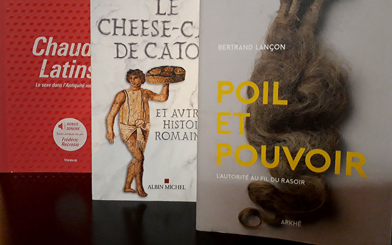 Poil Cheese Cake Et Chauds Latins Le Blog De La Bibliotheque De Geneve