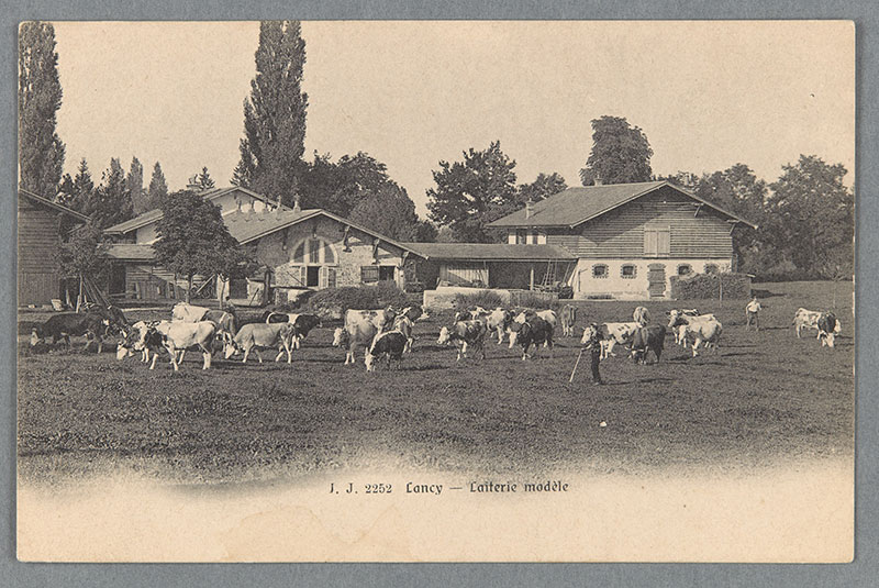 Genève au fil du temps: Charles Haccius