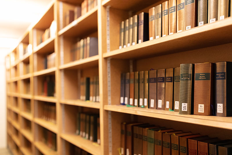 La Bibliothèque a de la suite dans les rayons