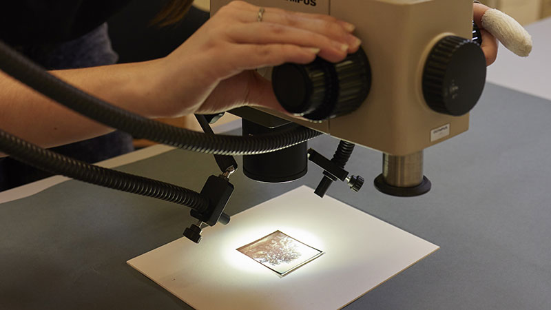 Focus sur la restauration d’une œuvre (1): Identification de la technique