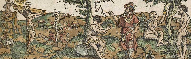 24 novembre: Journée internationale de la Bible / Le Jardin de la Parole de Dieu